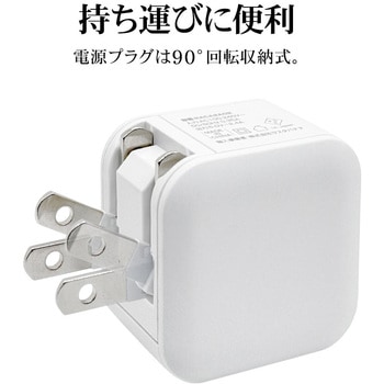 AC充電器 ラスタバナナ