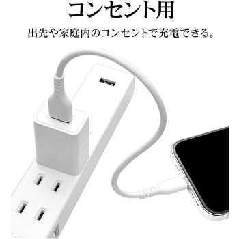 AC充電器 - ラスタバナナ