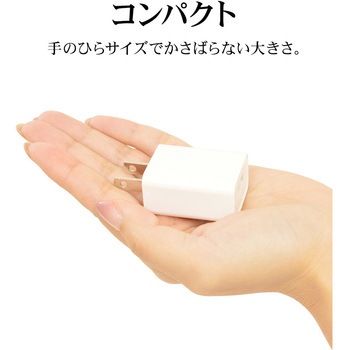 AC充電器 - ラスタバナナ