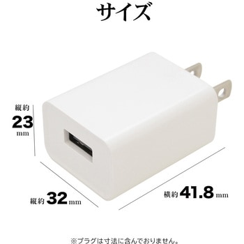 AC充電器 - ラスタバナナ