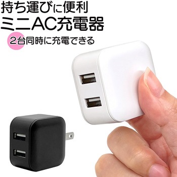 AC充電器 ラスタバナナ