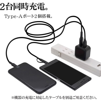 AC充電器 ラスタバナナ