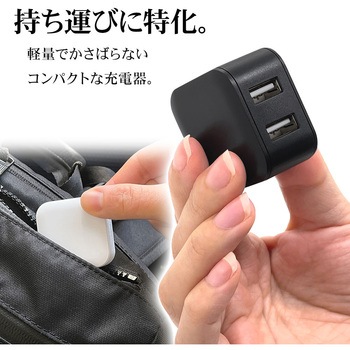 AC充電器 ラスタバナナ