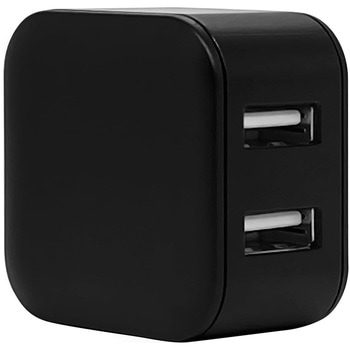 AC充電器 ラスタバナナ