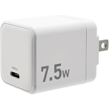 AC充電器 ラスタバナナ