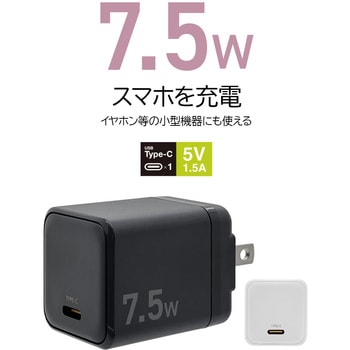 AC充電器 ラスタバナナ