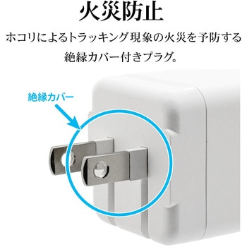 AC充電器 ラスタバナナ