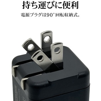 AC充電器 ラスタバナナ