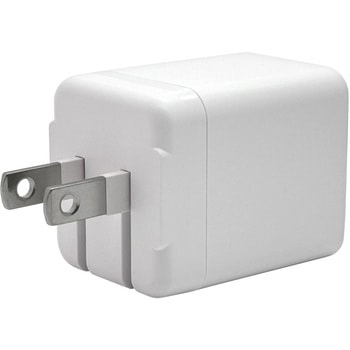 AC充電器 ラスタバナナ