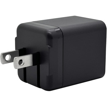 AC充電器 ラスタバナナ