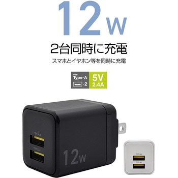 AC充電器 ラスタバナナ