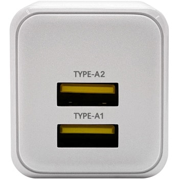 AC充電器 ラスタバナナ