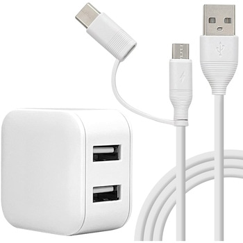 AC充電器 ラスタバナナ