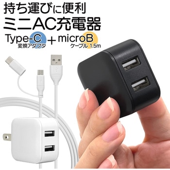 AC充電器 ラスタバナナ