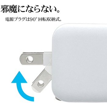 AC充電器 ラスタバナナ