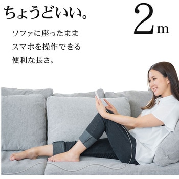 Type-C柔らかケーブル ラスタバナナ