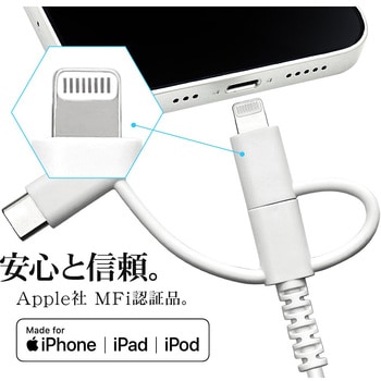 Type-C&Lightning変換ケーブル ラスタバナナ