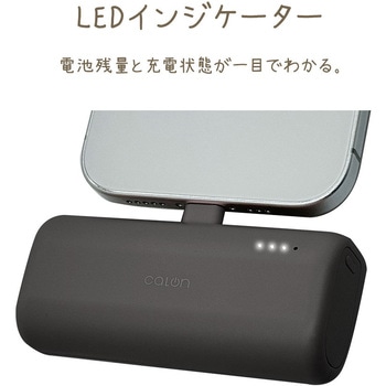 calon 直付けモバイルバッテリー ラスタバナナ