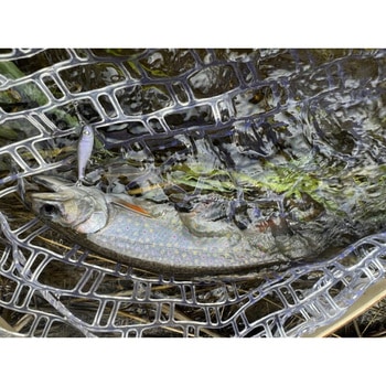 ソギーン40 Nishine Lure Works(ニシネルアーワークス)