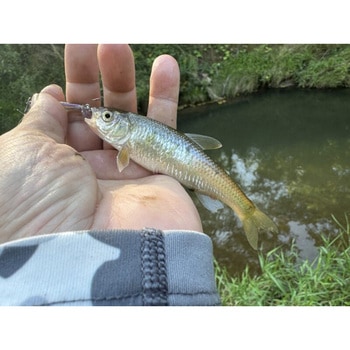 ソギーン40 Nishine Lure Works(ニシネルアーワークス)