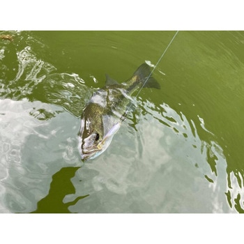 ソギーン40 Nishine Lure Works(ニシネルアーワークス)