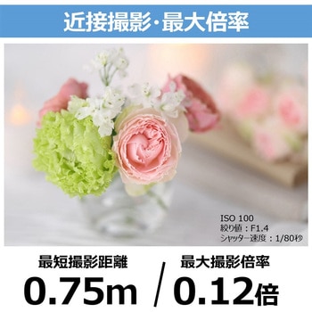 RFレンズ RF85mm F1.4 L VCM - Canon