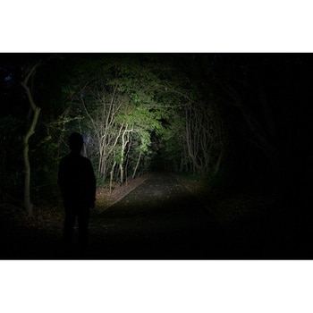 Astrum(アストラム)クリップ付きヘッドライト ハイブリッド GENTOS