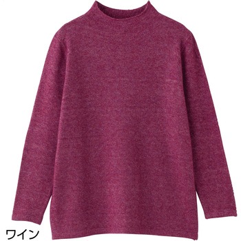 821461 やわらかボトルネックセーター ケアファッション