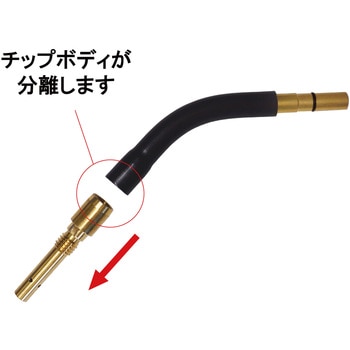 トーチボディ 東安