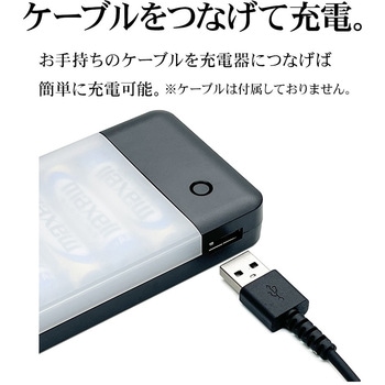 乾電池式充電器 ラスタバナナ