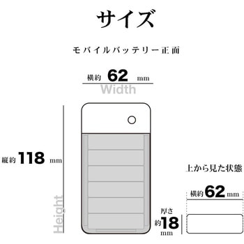 乾電池式充電器 ラスタバナナ