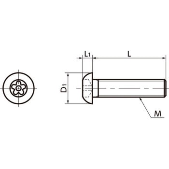 ファイブロブ穴付きボタンボルト(ピンつき) - NBK(鍋屋バイテック会社)