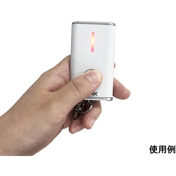 キーホルダー型呼び出しチャイムセット リーベックス