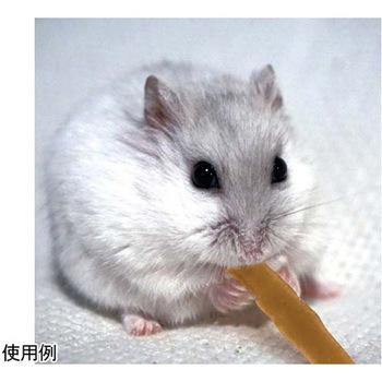 小動物のやみつきコオロギ 25g ドギーマン