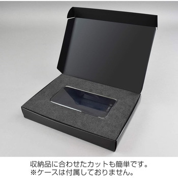 ESDフォーム ホーザン