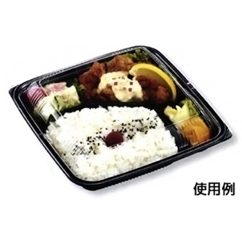 HSA味里 本体 中央化学
