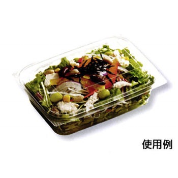 C-AP 身 中央化学
