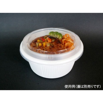 SDキャセロ 身 中央化学
