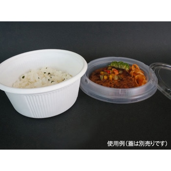 SDキャセロ 身 中央化学