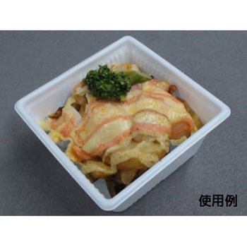 SDキャセロ 身 中央化学
