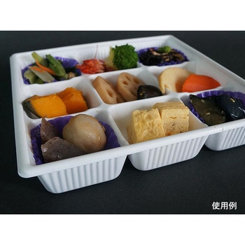 SDキャセロ 身 中央化学