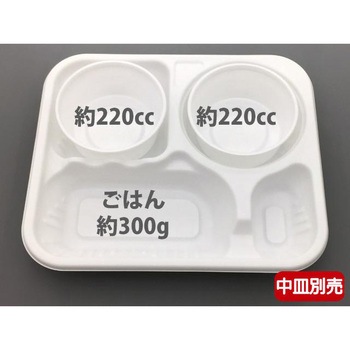 SDカレー 本体 - 中央化学