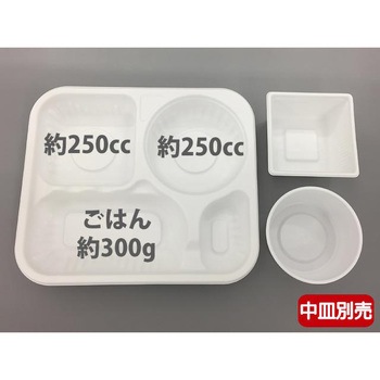 SDカレー 本体 - 中央化学