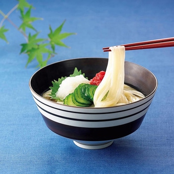 [冷凍]稲庭風うどん テーブルマーク