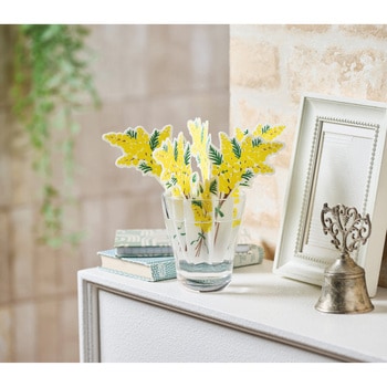 どこでもモイスチャーミモザ ELEMENTS