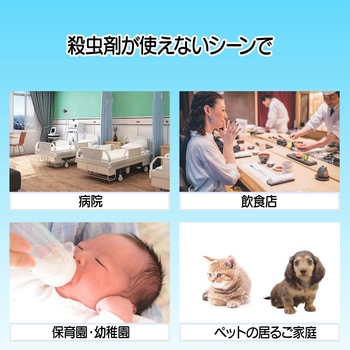 害虫駆除用品「ペタッとムシモン」 - カーボーイ