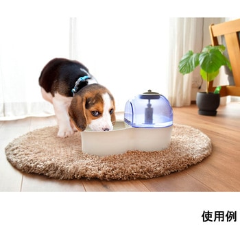 ペット用水素自動給水器 アクアリメール ペット フジファインズ