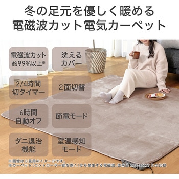 カーペット コイズミ