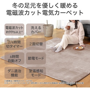 カーペット コイズミ