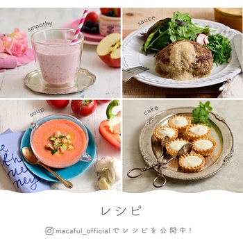 モバイル真空ブレンダー マカフル